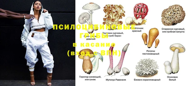 прущий лед Горняк
