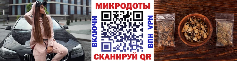 Купить где  Новоаннинский  Псилоцибиновые грибы Cubensis 